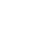 Icon representing the protection of finances and family future